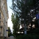 Квартира-студия в центре Севастополя